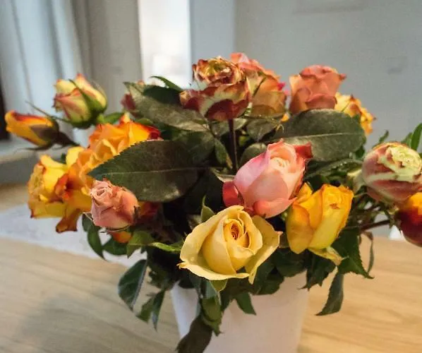 Apartment Charlotte *